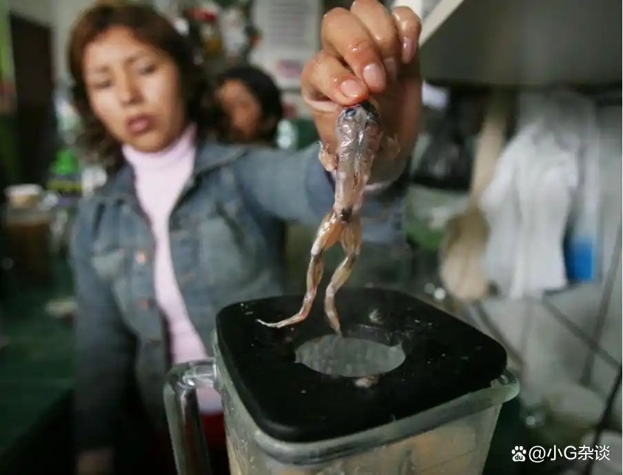 盘点世界各国黑暗料理_四国网红黑暗料理,_你知道哪几个